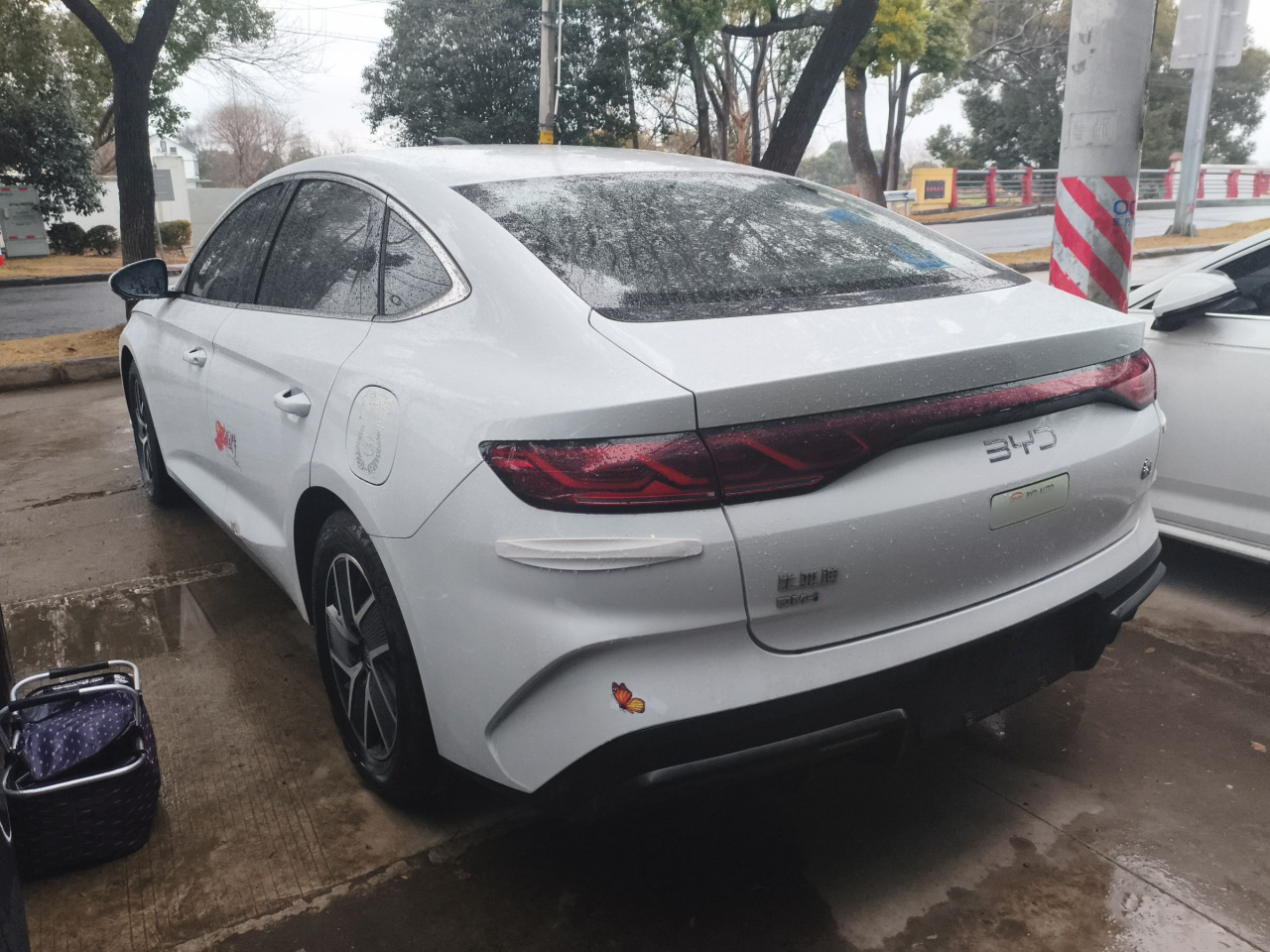 Qin L 2024 DM-i 80KM photo 3