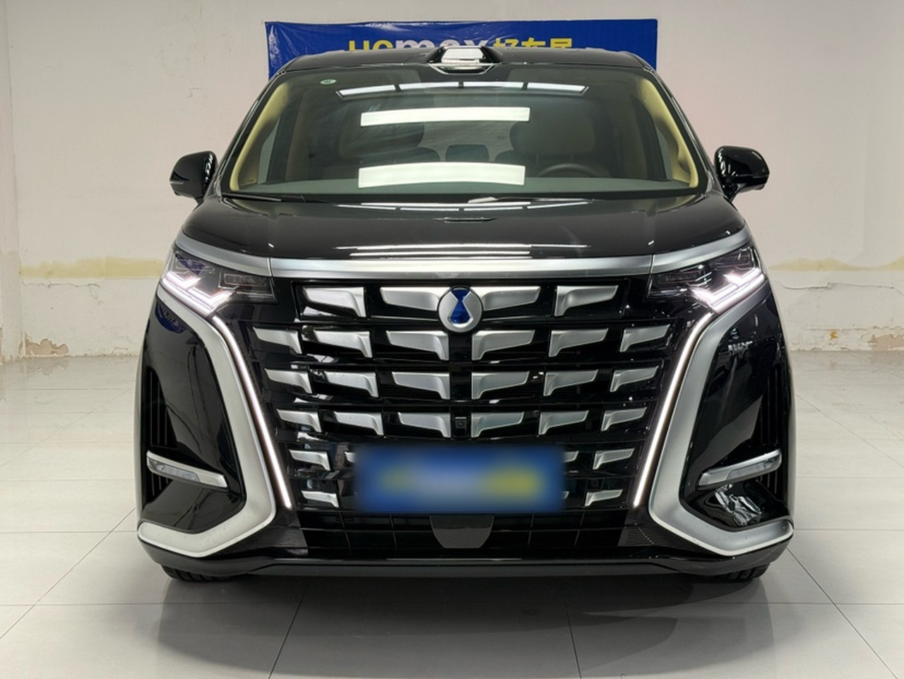 D9 2026 2nd Gen EV RWD Premium photo 4