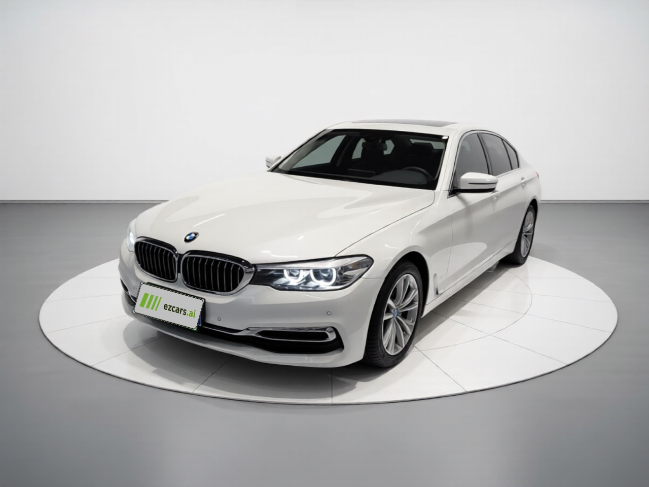 5 Series 2019 525Li Luxury