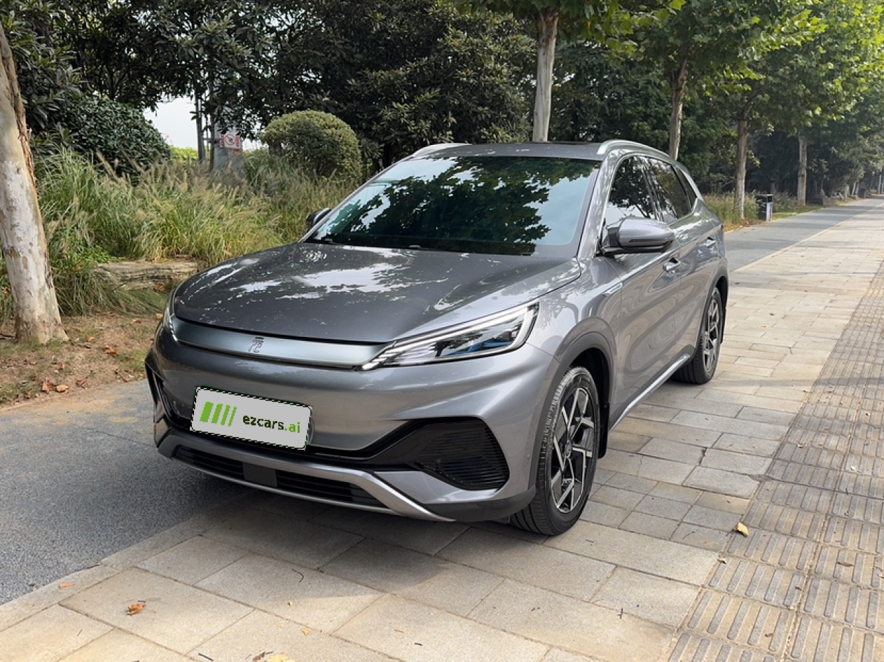 Yuan PLUS 2024 Honor 510KM