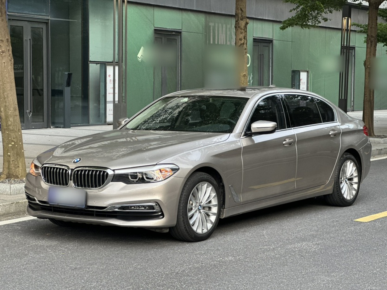 5 Series 2019 530Li Leading Luxury