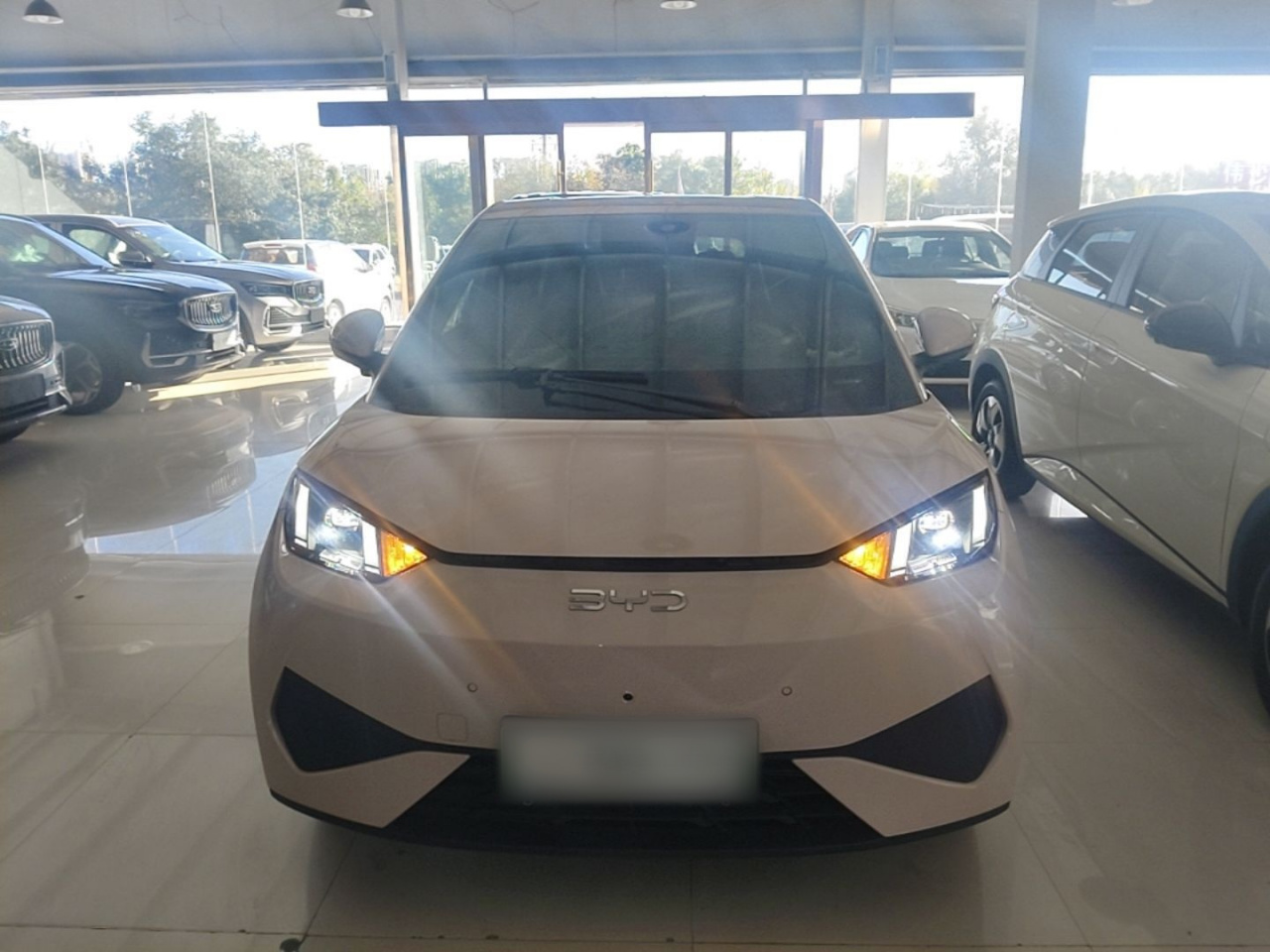 Seagull 2025 ADAS 305km photo 2