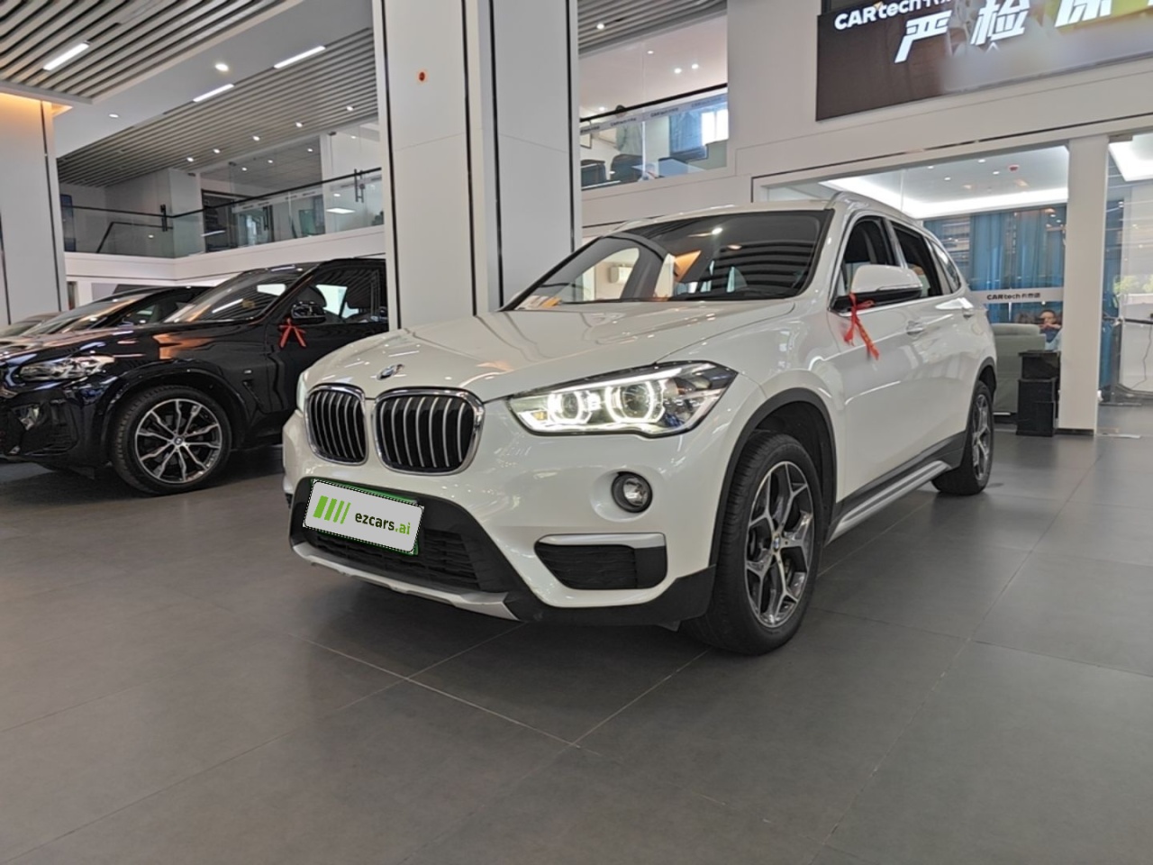 X1 2019 sDrive18Li Exclusive
