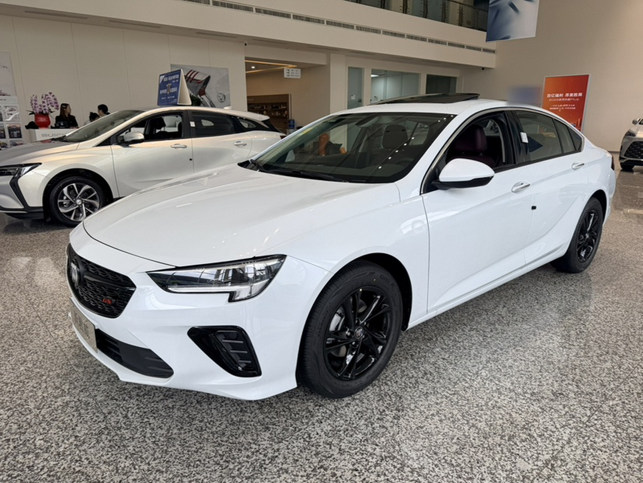 Regal 2025 25T