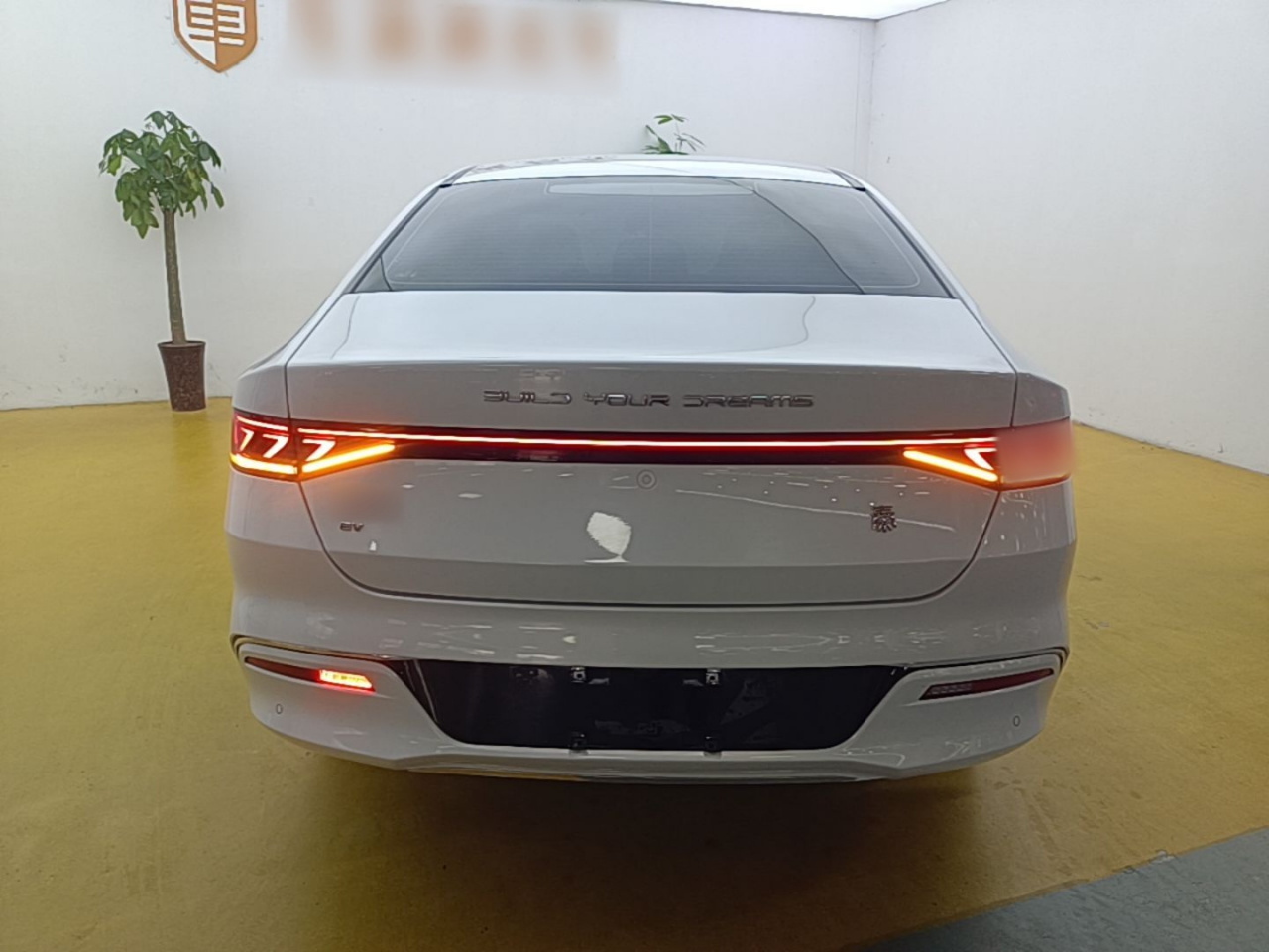 Qin PLUS 2023 Champion EV 420KM photo 5