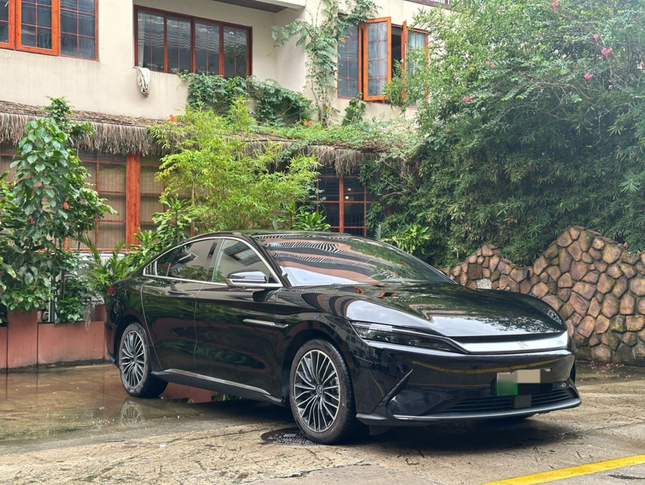 Han 2020 EV Extended Range Luxury photo 4