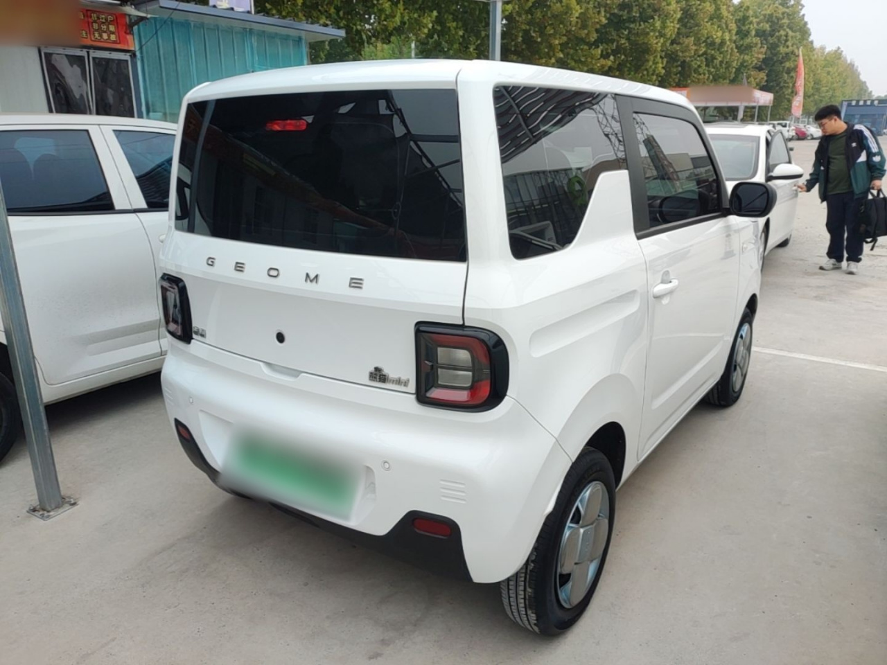 2024 Panda mini 200km Endurance Bear photo 4