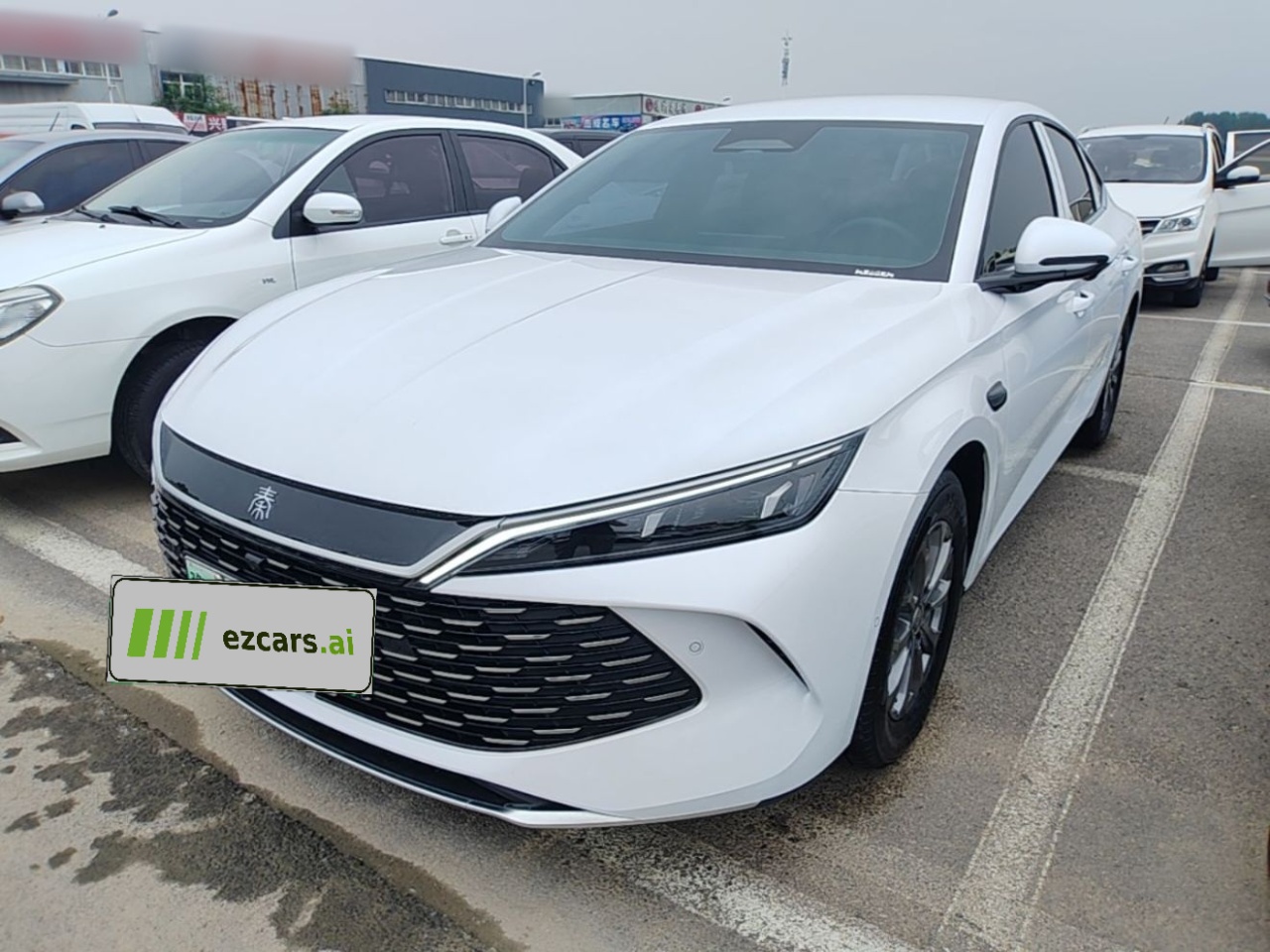 Qin L 2025 DM-i ADAS 80KM Leading