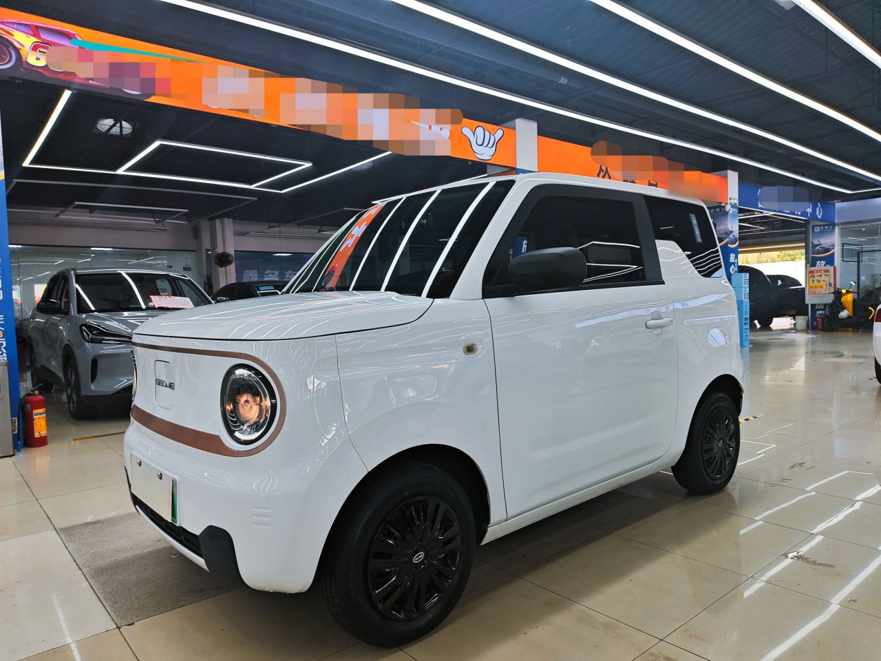 2023 Panda mini 200km Endurance Bear
