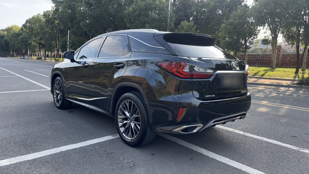 RX 2016 300 AWD F SPORT China V photo 2