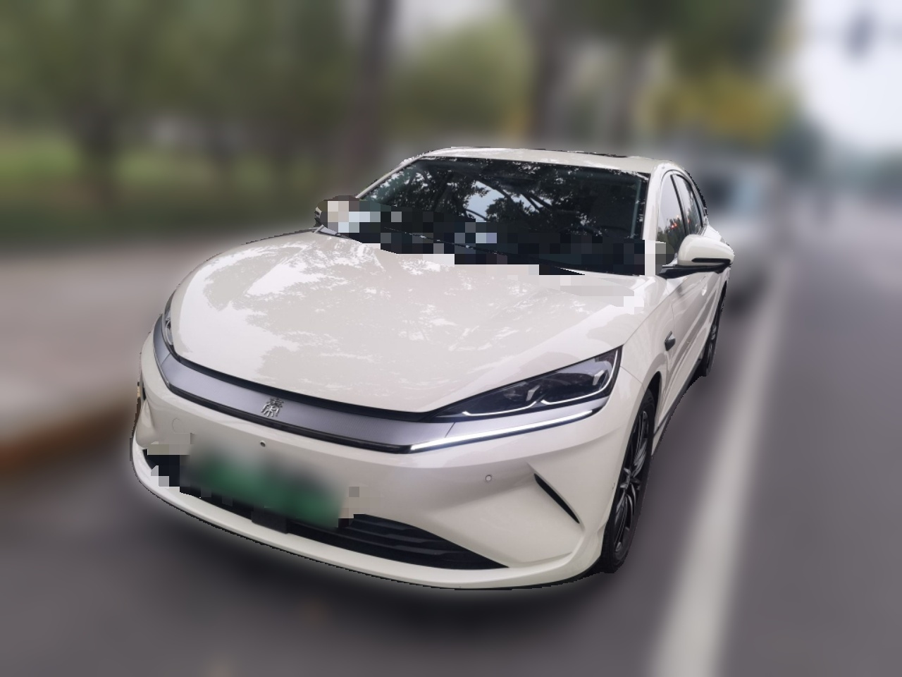 Qin L 2025 EV 545KM Excellence