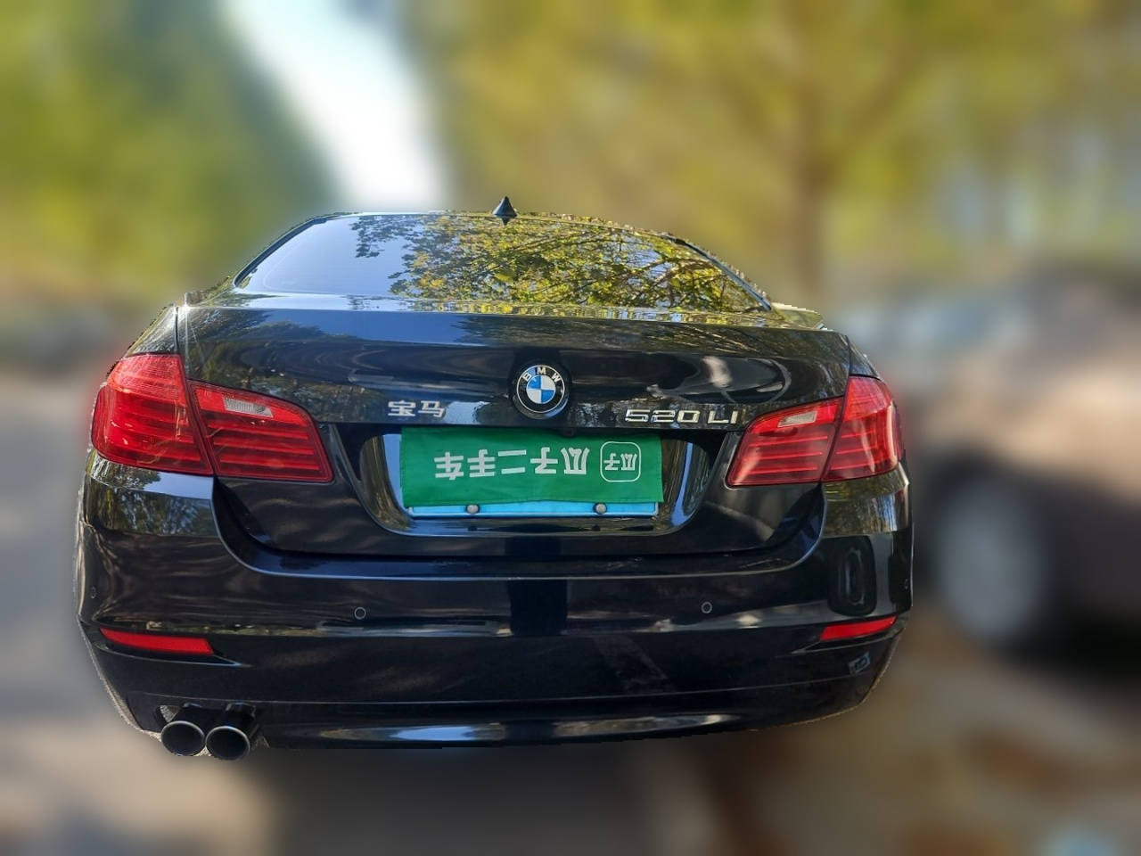 5 Series 2014 520Li photo 5