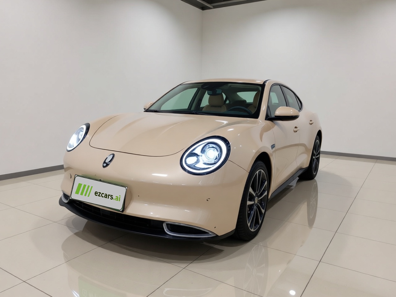 Good Cat 2023 401km Standard Range Luxury NCM