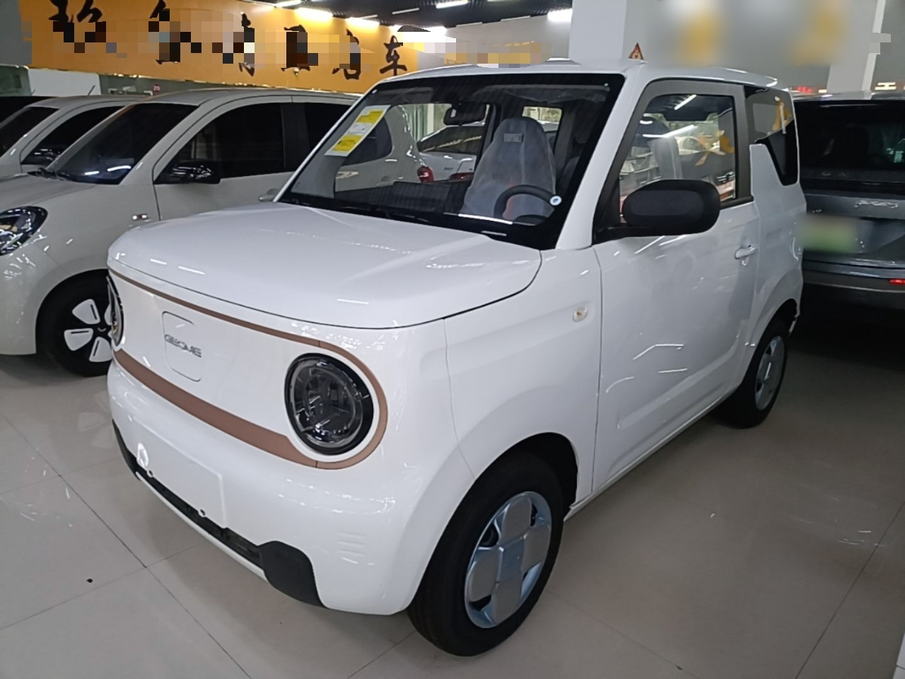 2024 Panda mini 200km Endurance Bear