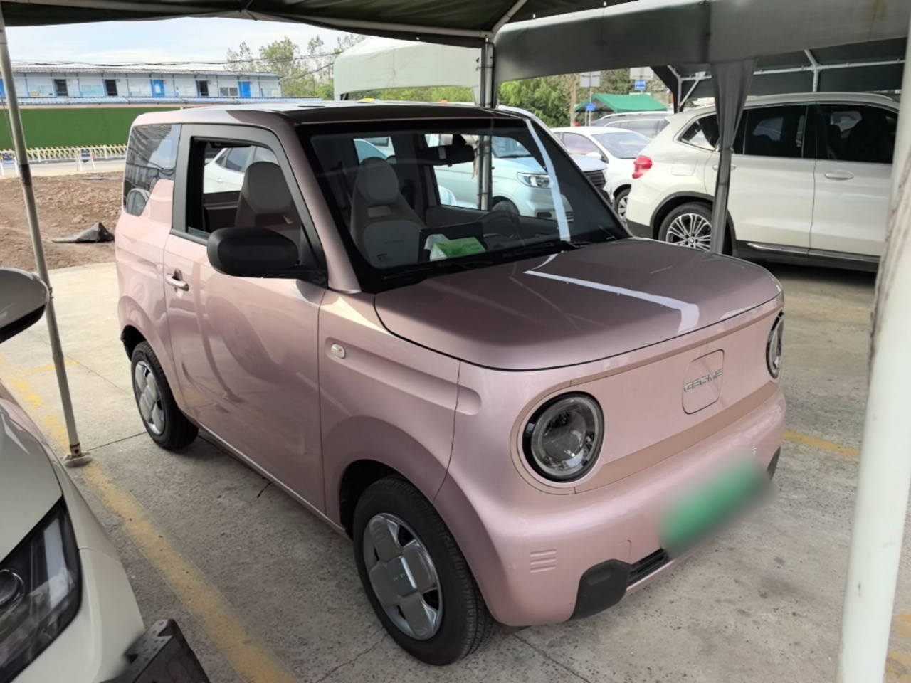 2024 Panda mini 200km Endurance Bear photo 5