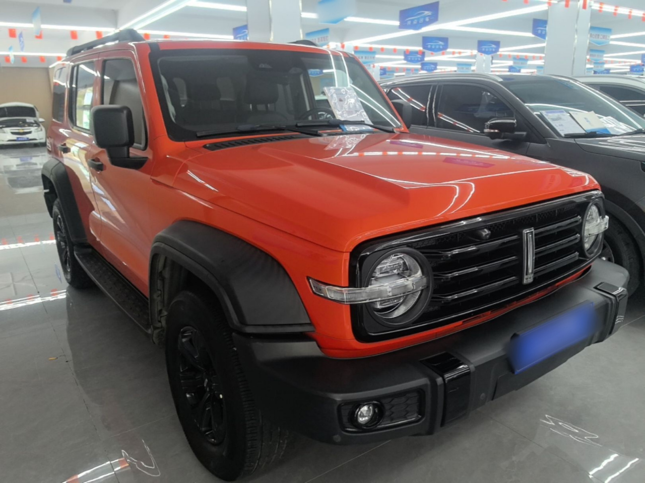 300 2021 Off-road 2.0T Conqueror photo 3