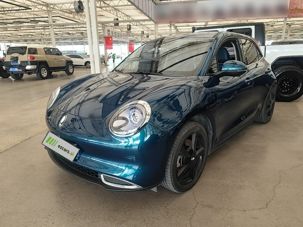 Good Cat 2024 401km Luxury