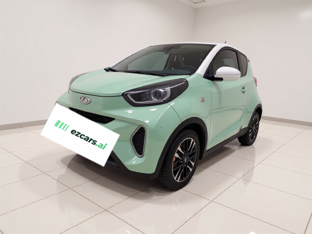 QQ Little Ant 2021 20 LFP 301km