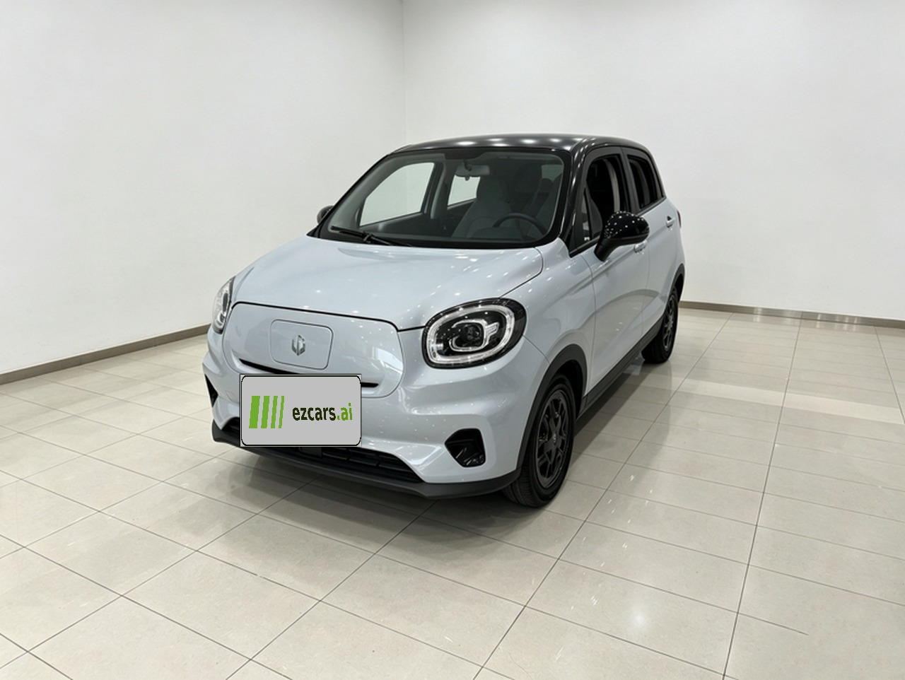 Leapmotor T03 2023 310