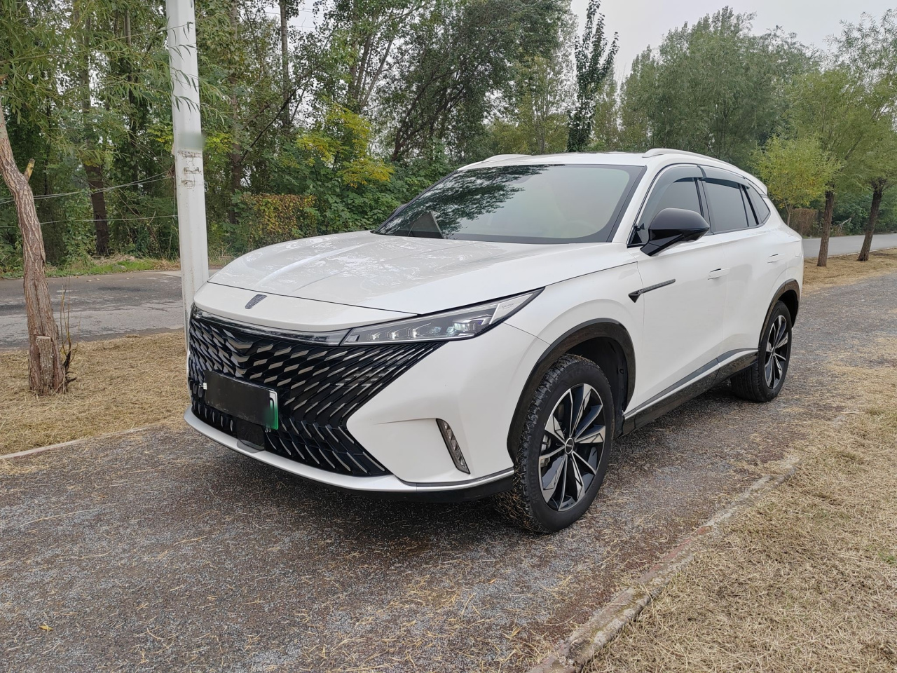 RX5 EV 2023 eRX5