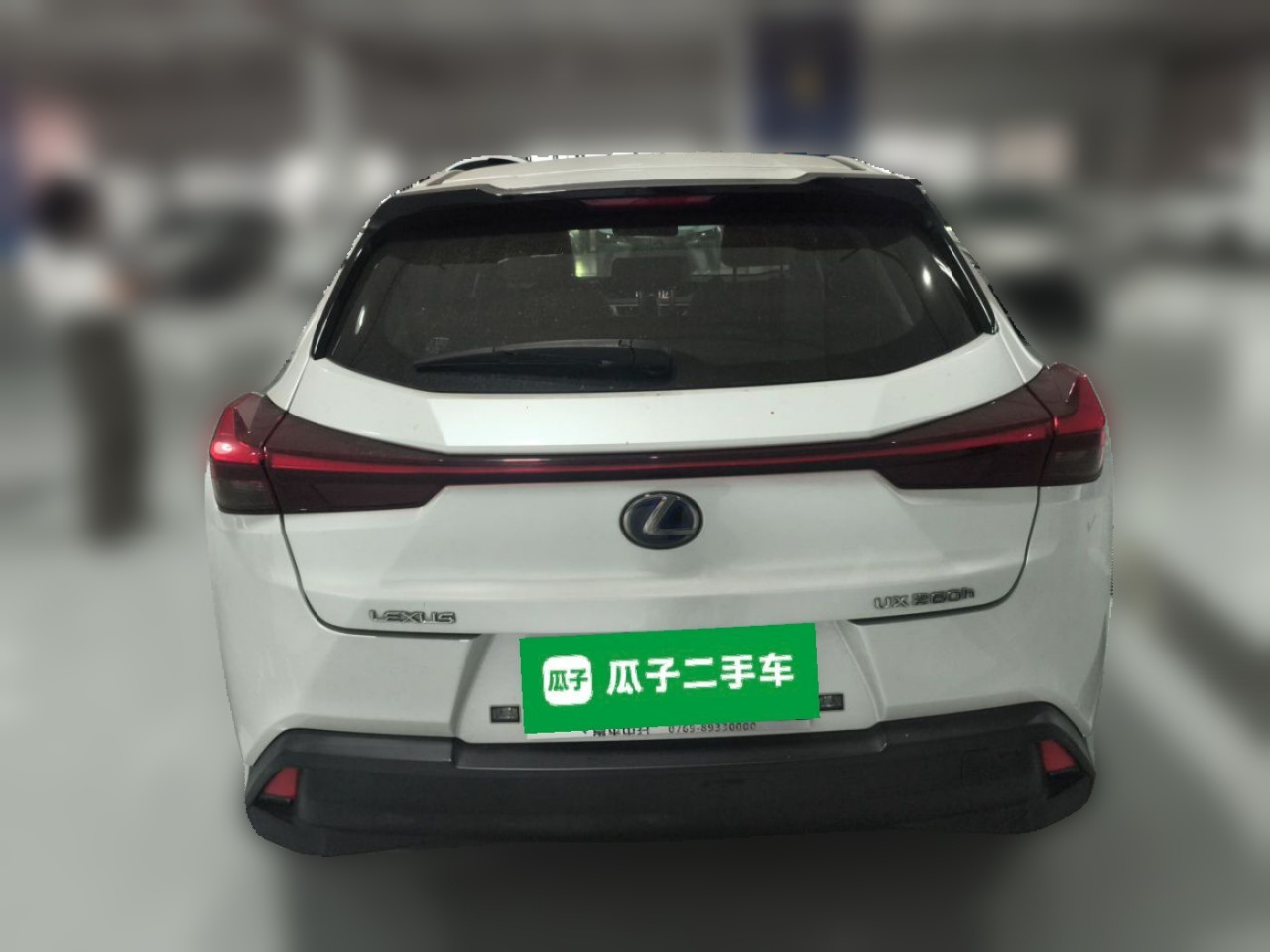 UX 2019 260h China VI photo 5