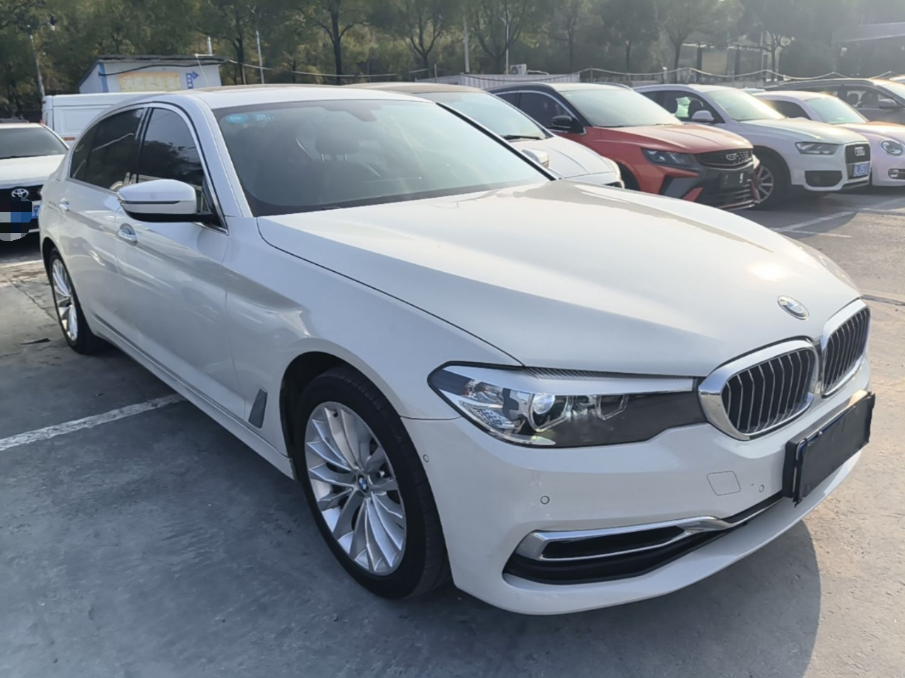 5 Series 2019 530Li Leading Luxury photo 3