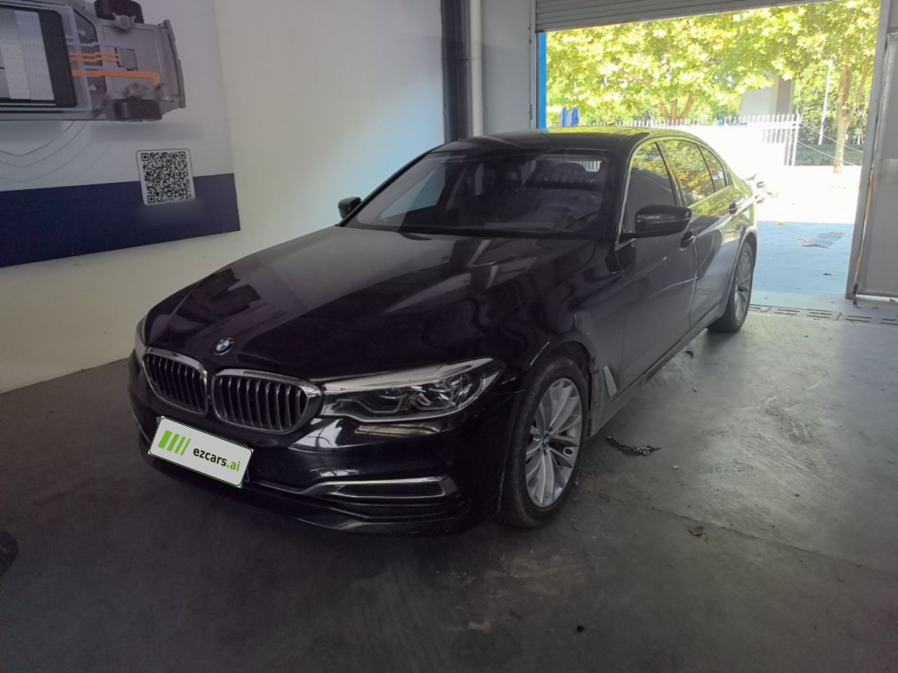5 Series 2020 530Li Exclusive Luxury