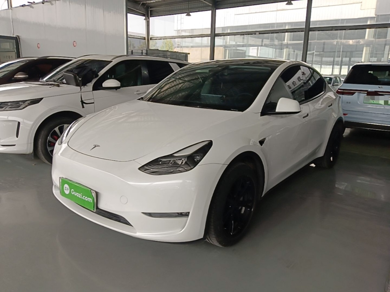 Model Y 2021 Standard Range RWD