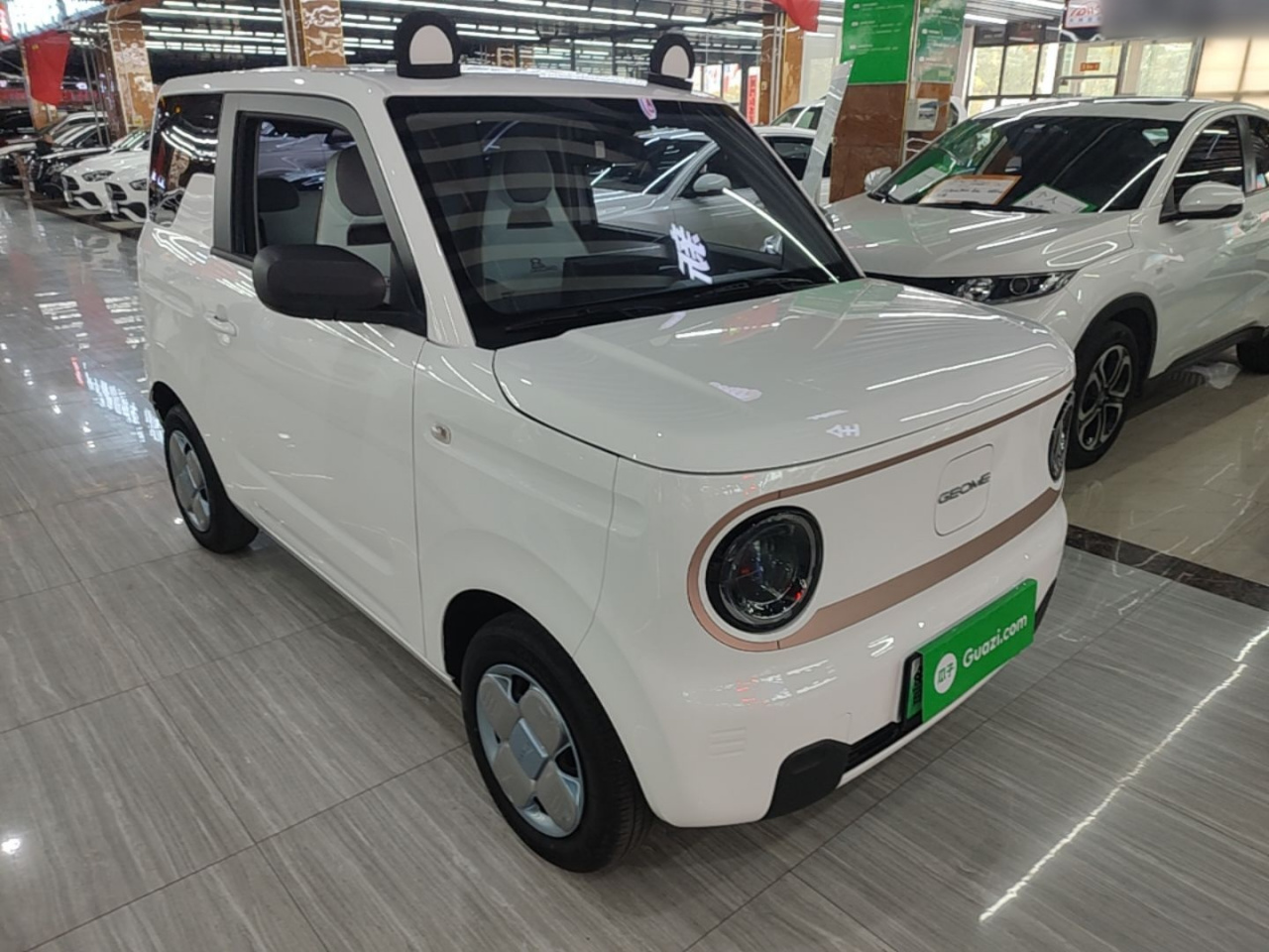 2024 Panda mini 200km Endurance Bear photo 3
