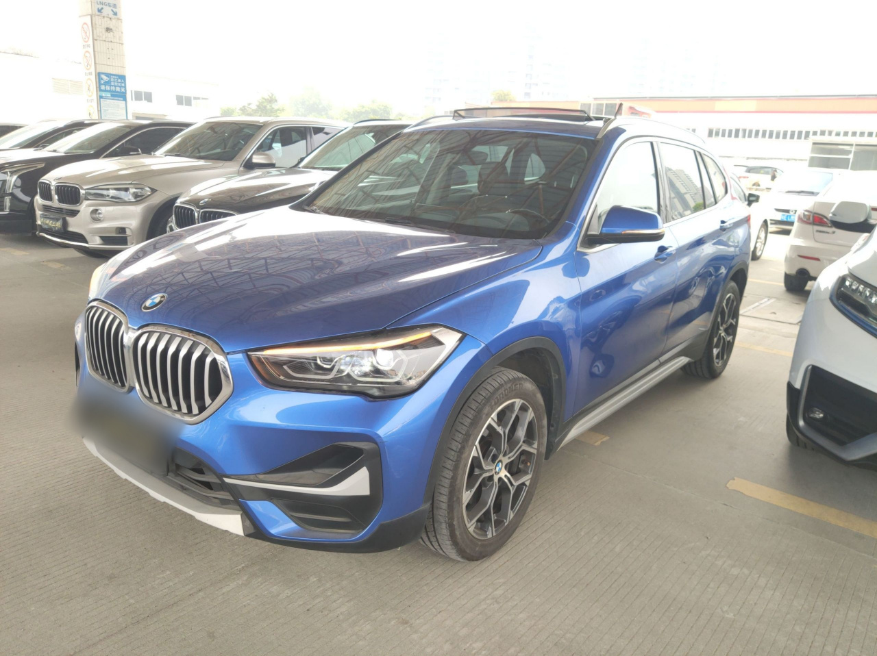 X1 2020 sDrive20Li Exclusive