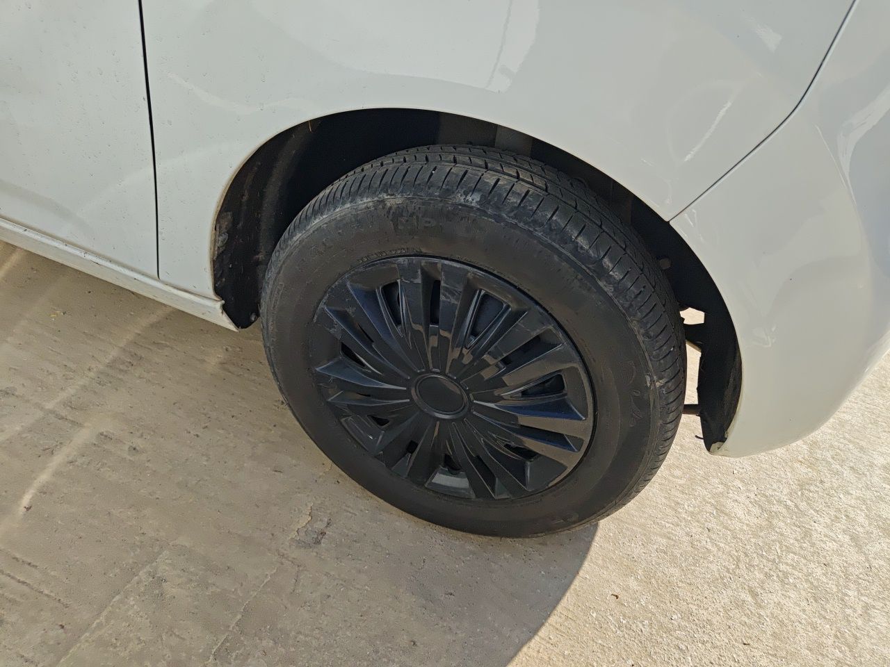 2023 Panda mini 200km Endurance Bear photo 5