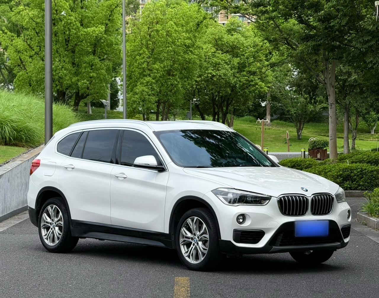 X1 2018 sDrive20Li Leading photo 4
