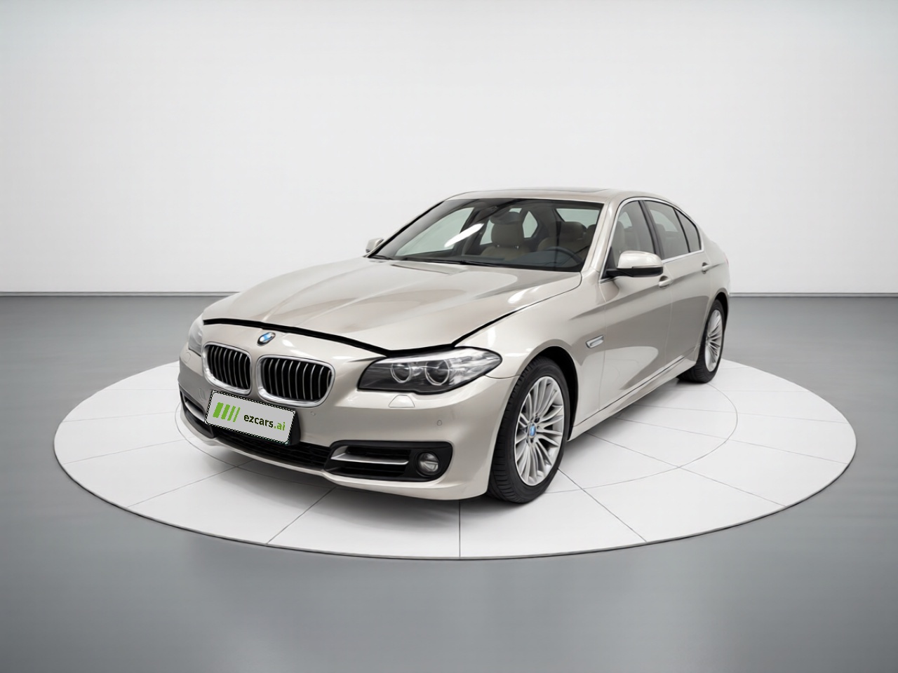5 Series 2014 525Li Leading