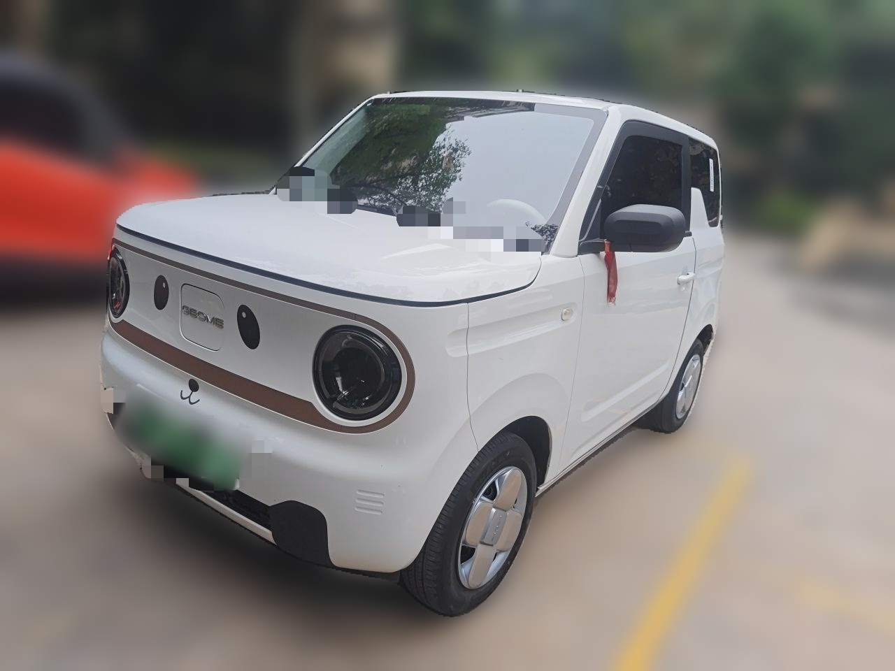 2024 Panda mini 200km Endurance Bear