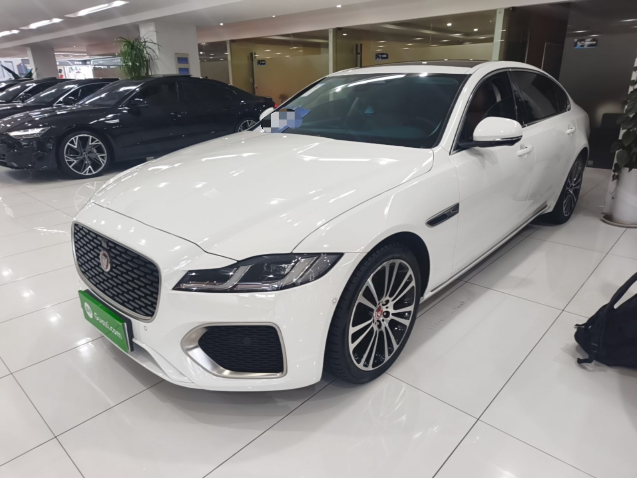 XFL 2024 2.0T P250 RWD Exclusive Luxury