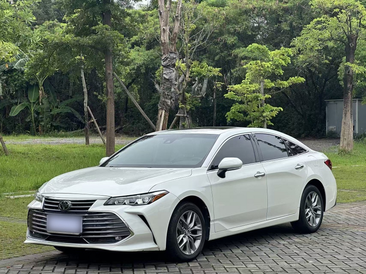 Avalon 2019 2.0L Luxury China VI
