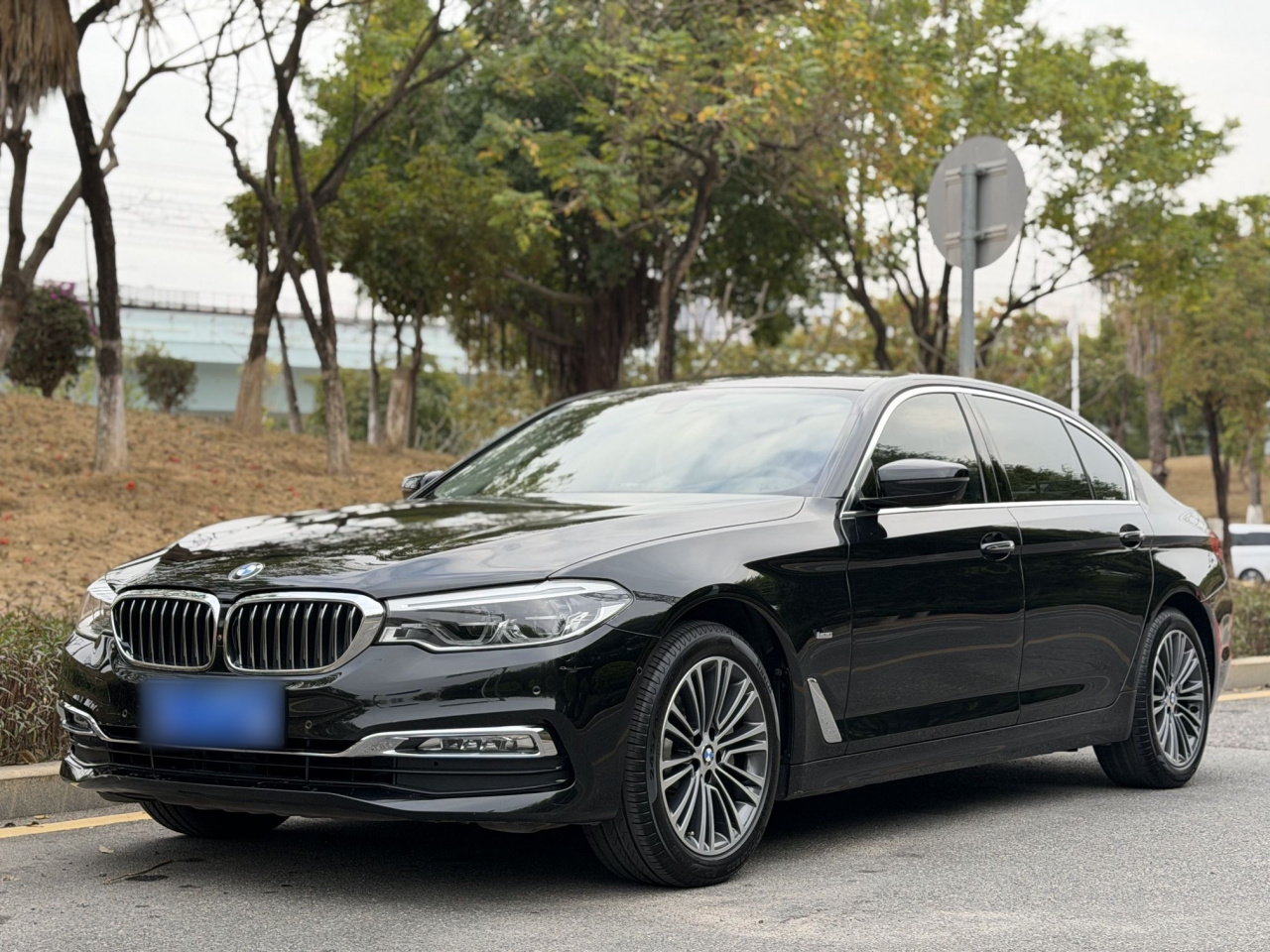 5 Series 2018 530Li Exclusive Luxury