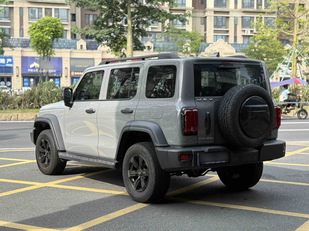 300 2021 Off-road 2.0T photo 4