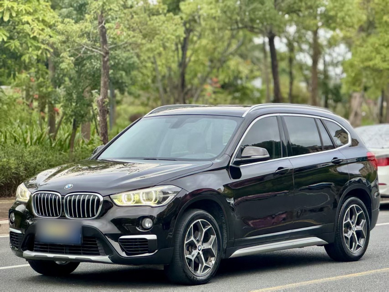 X1 2018 sDrive18Li Exclusive