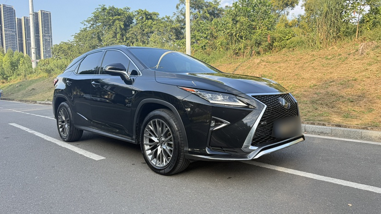 RX 2016 300 AWD F SPORT China V photo 4