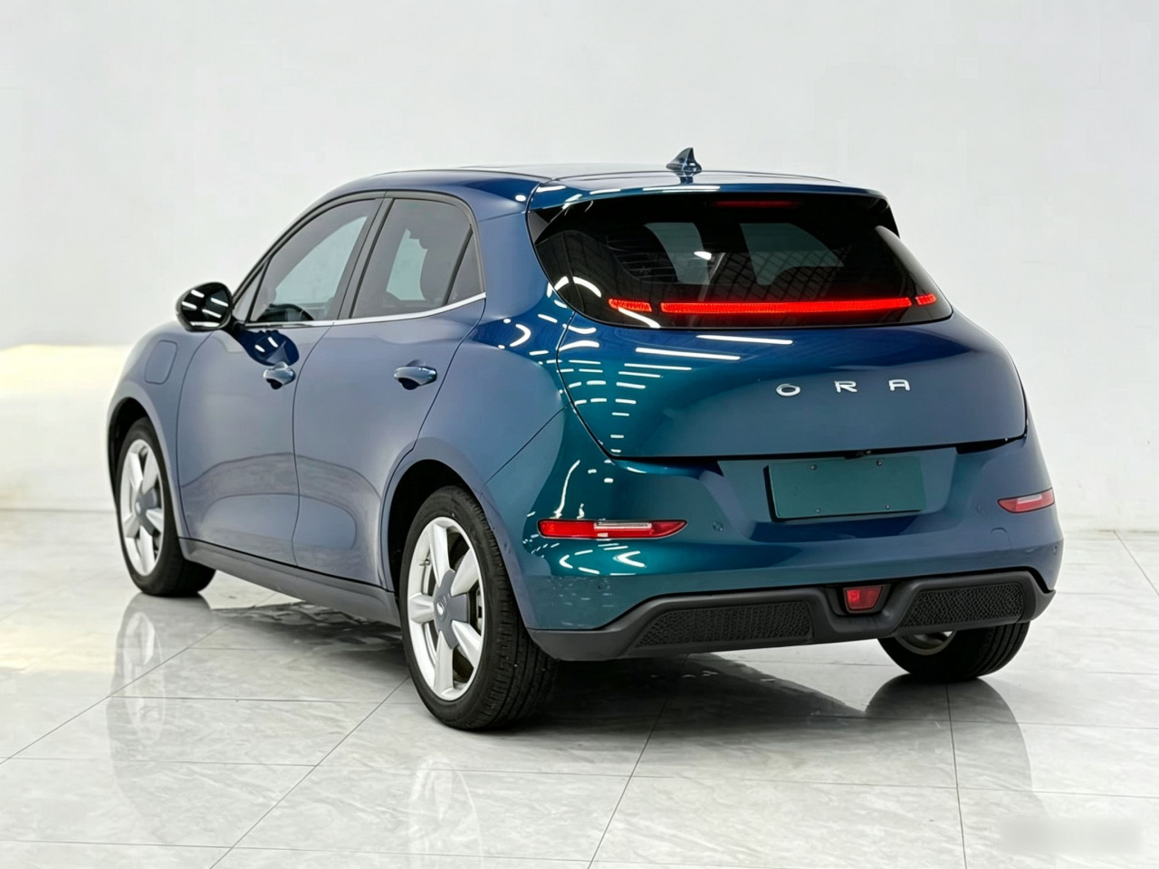 Good Cat 2022 400km Standard Range Premium LFP photo 4