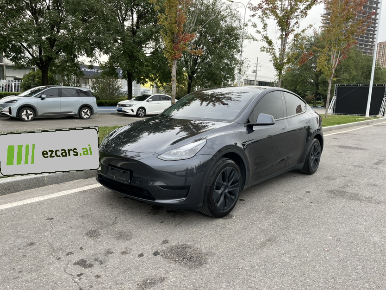 Model Y 2024 RWD