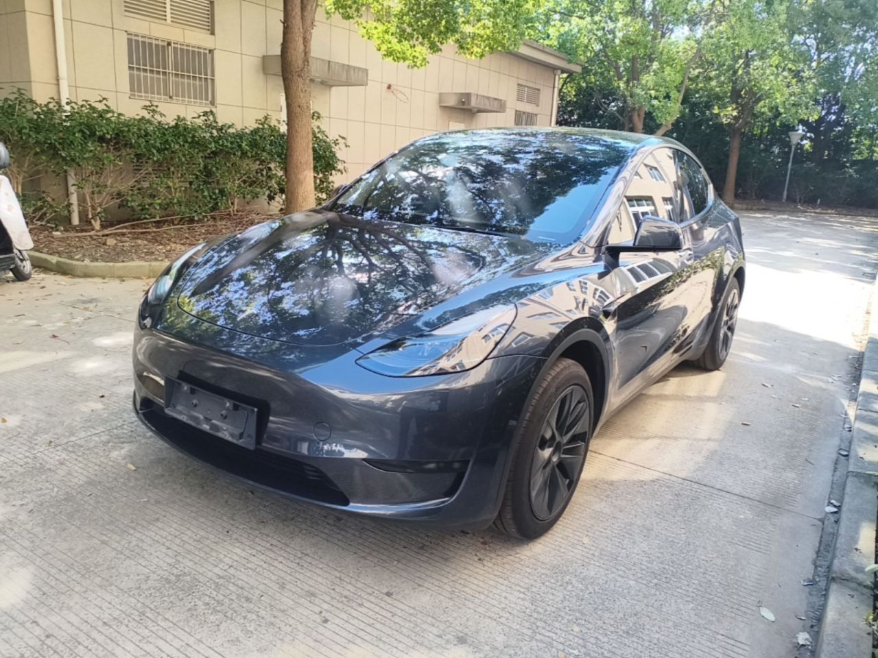 Model Y 2024 RWD