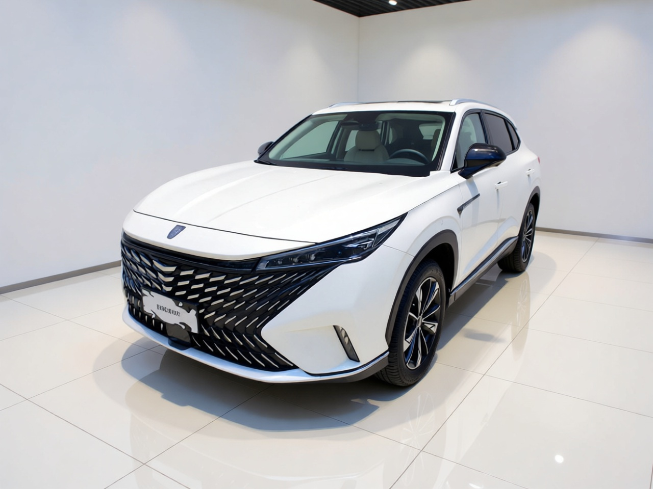 RX5 EV 2023 eRX5