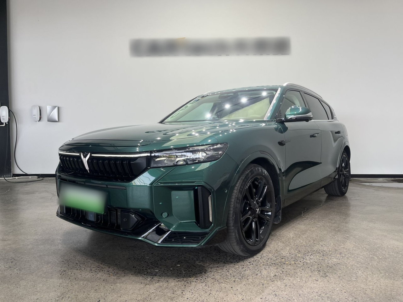 Voyah FREE 2024 Extended Range ADAS