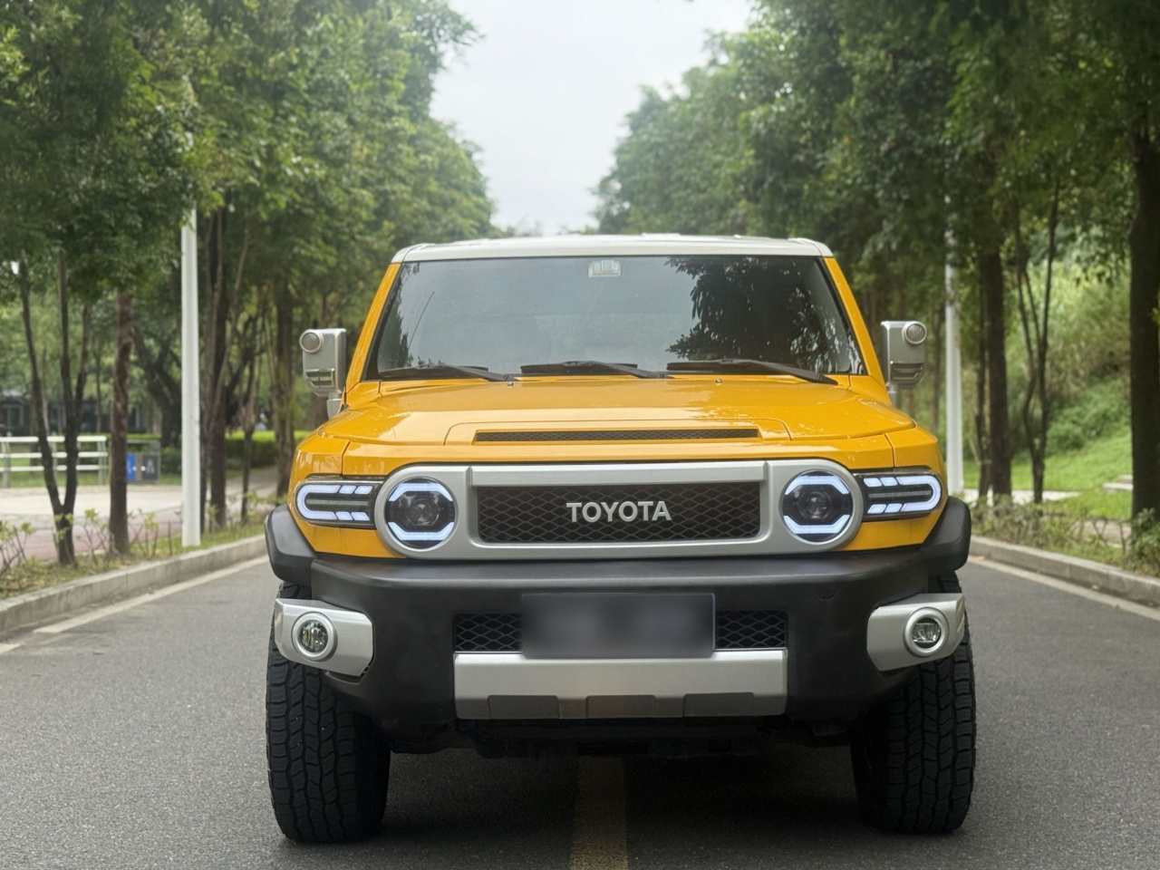 FJ 2013 4.0L photo 2
