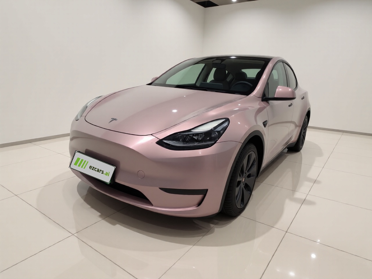 Model Y 2021 Standard Range RWD