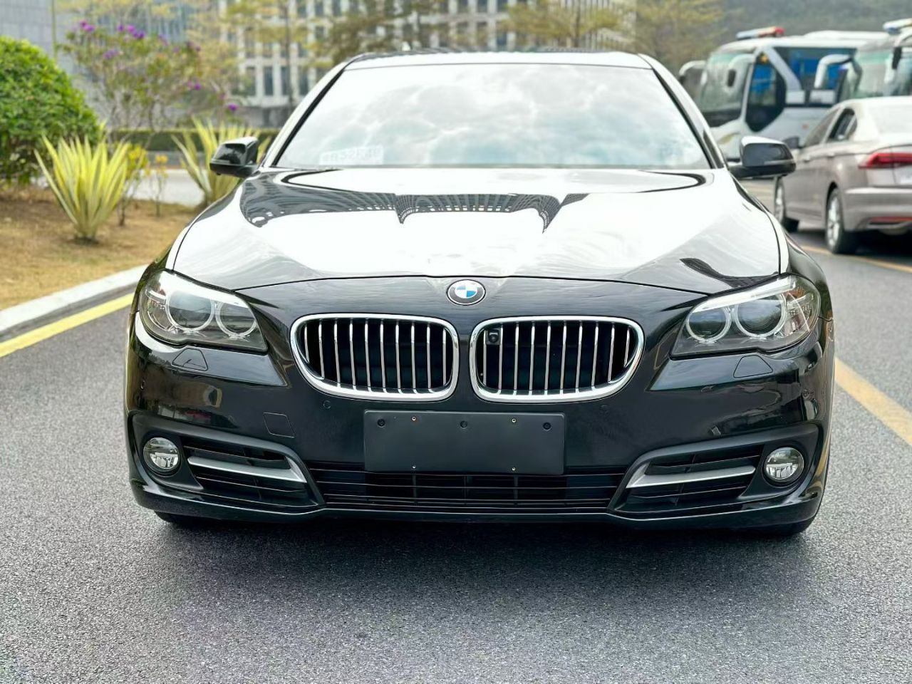 5 Series 2014 525Li Leading photo 4