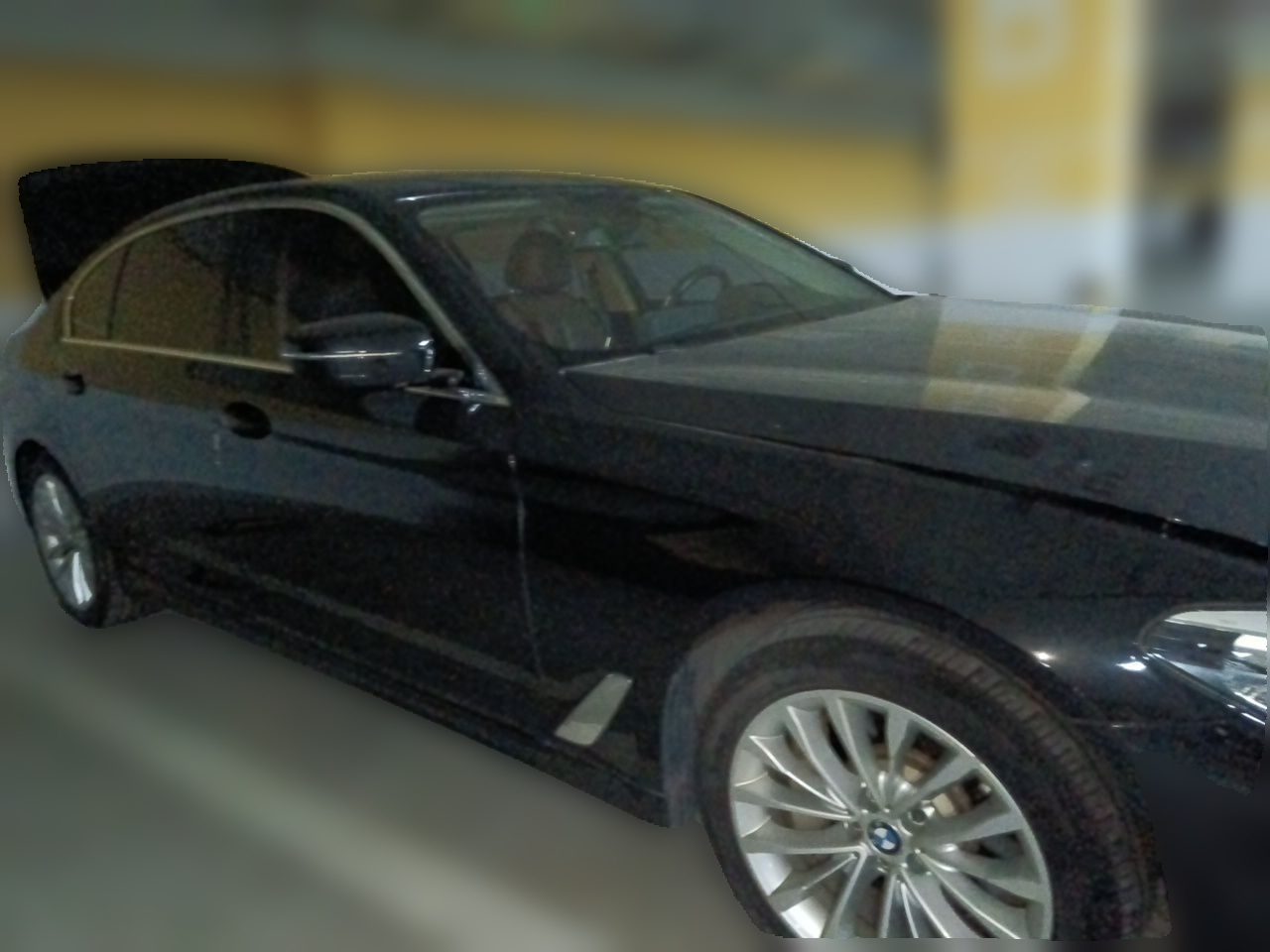 5 Series 2019 530Li Leading Luxury photo 3