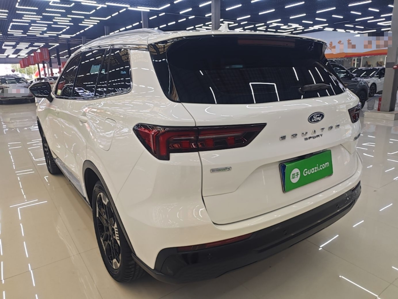 Equator Sport 2025 EcoBoost 170 photo 4